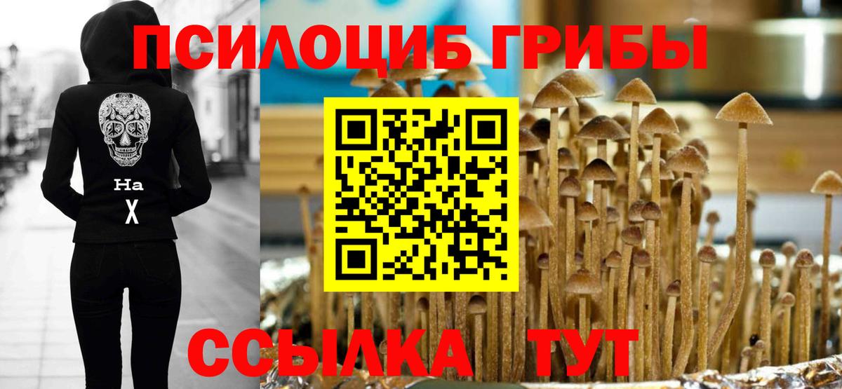 Псилоцибиновые грибы мухоморы Малоярославец